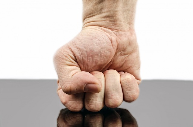 punch-316605_640 (1)