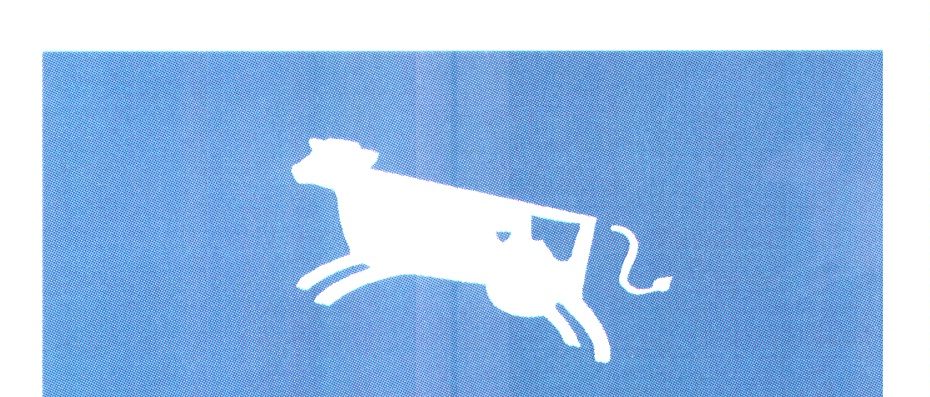 blue cow cheese company